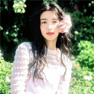菊石