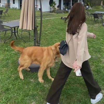 家有一宝